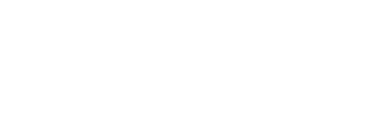 google-logo-white